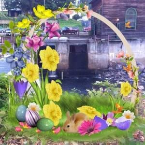 Meet your Posher, April